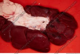 RAW meat pork 0054